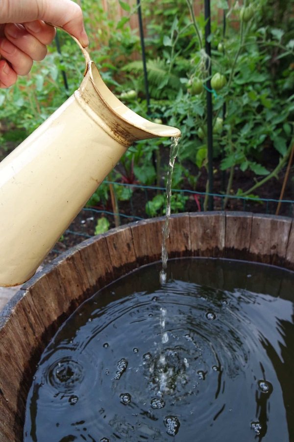 What's the Best Way to Set Up a Rain Barrel System for a City Garden?